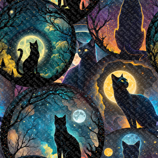 Black cats
