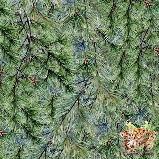 Pine tree coord CC