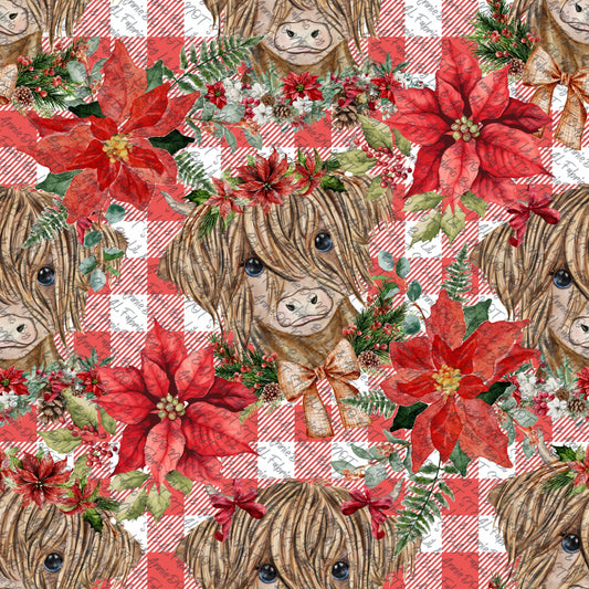 Highlander poinsettia